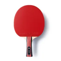Table tennis racket Butterfly Team Champion FL (6256800002) (931840)