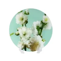 Dish Interos 30 cm Apple tree turquoise 77578 (IT-S3012/R067)