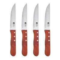 Набір ножів Bergner Bbq lovers для стейків, 4 предмети (BG-40201-MM)
