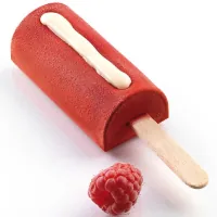 Форма для морозива Silikomart серія "Gelateria" Міні Чік 2 форми+2 таці + 100 паличок (GEL05M)