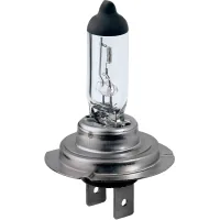 Bosch halogen car lamp 55W (1 987 302 071)