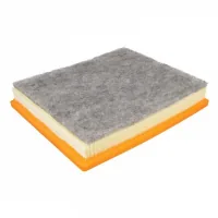 Mahle LX2076/3 car air filter
