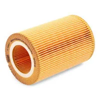 Mann C1036/1 car air filter