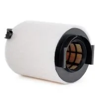 Mann C14130/1 car air filter