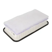 Mann C2620 car air filter