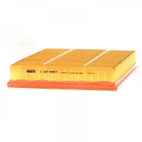 Mann C33189/1 car air filter