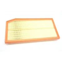 Mann C36016 car air filter