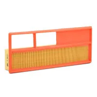 Mann C3877/1 car air filter