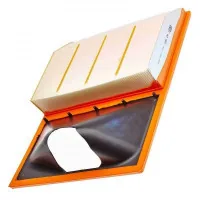 Mann C40001 car air filter