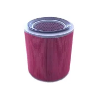 Car Air Filter Nipparts J1323049