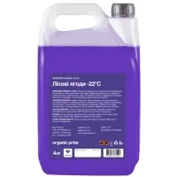 Car washer ORGANIC PRINK -22 °С "Forest berries" 4 l (012040)
