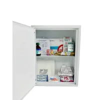 Car first aid kit Poputchik 02-081-IS