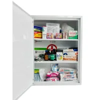 Car first aid kit Poputchik 02-082-IS