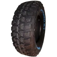 Шина Kapsen 245/65R17 111/108Q RS25 (RS252456517LT)