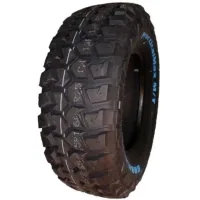 Шина Kapsen 265/70R16 LT 117/114Q RS25 (LT265/70R16RS25)