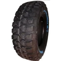 Шина Kapsen 265/70R17 121/118Q RS25 (RS252657017LT)