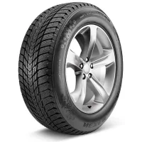 Шина Nexen 225/50R17 98T XL WinGuard ice Plus WH43 (16129DOT2024)