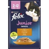 Wet food for cats Purina Felix Fantastic Junior with chicken in jelly 85 g (7613039832189)