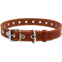 Collar for animals Collar dimensionless 20 mm 50 cm (brown) (01516)