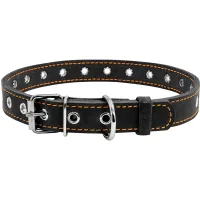 Collar for animals Collar dimensionless 20 mm 50 cm (black) (01511)