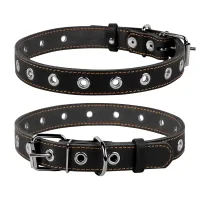 Collar for animals Collar dimensionless 25 mm 60 cm (black) (02441)