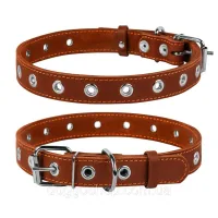 Collar for animals Collar dimensionless 35 mm 69 cm (brown) (02956)