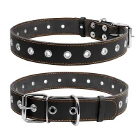 Collar for animals Sizeless 35 mm 69 cm (black) (02951)