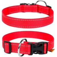 Collar for animals Collar Dog Extreme 25 mm 31-49 cm (red) (02523)