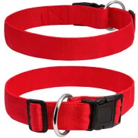 Collar for animals Collar Dog Extreme 30 mm 35-58 cm (red) (67003)