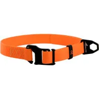 Collar for animals Collar Evolutor 25 mm 25-70 cm (orange) (42434)