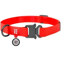 WAUDOG Waterproof animal collar with QR passport L W 25 mm L 31-49 cm (red) (27863)