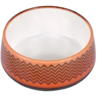 Dishes for dogs AnimAll Bowl with a pattern 300 ml orange (6914068020198)