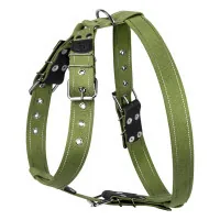 Dog harness Collar for large dogs N3 72-94 cm green (0647)