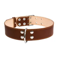 Collar for animals Collar double 45 mm 56-68 cm brown (03596)