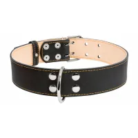 Collar for animals Collar double 45 mm 56-68 cm black (03591)