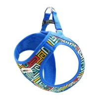 Harness for dogs MISOKO&CO blue-multicolor XS (DCAMIS306M-XS)