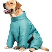 Pet Fashion "Cold" Dachshund Jumpsuit XS (Turquoise) (4823082425365)
