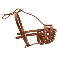 Muzzle for dogs Collar solid (mastino, bullmastiff, large rottweiler) brown (06206)