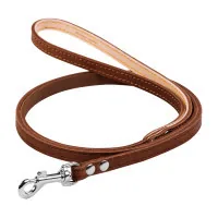 Dog leash Collar single unstitched W 10 mm L 122 cm brown (04436)