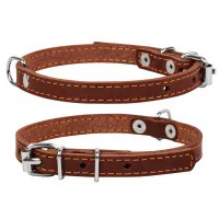 Collar for animals Collar single W 20 mm L 32-40 cm brown (01336)