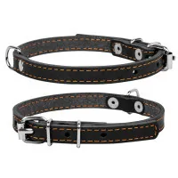 Collar for animals Collar single W 20 mm L 32-40 cm black (01331)