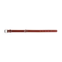Collar for animals Collar single W 25 mm L 38-50 cm brown (02196)