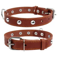 Collar for animals Collar single with decorations W 20 mm L 32-40 cm brown (01356)