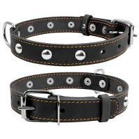 Collar for animals Collar single with decorations W 20 mm L 32-40 cm black (01351)