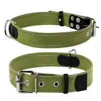 Collar for animals Collar Tarpaulin W 20 mm L 31-41 cm (0144)