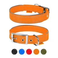 Collar for animals Dog Extreme double with reflective insert W 40 mm L 46-58 cm orange (64484)