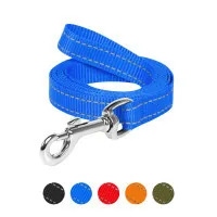 Leash for dogs Dog Extreme made of nylon W 14 mm L 200 cm blue (04602)