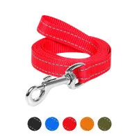 Leash for dogs Dog Extreme made of nylon W 25 mm L 150 cm red (04673)