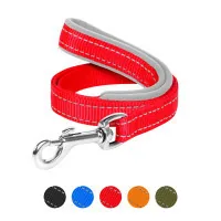 Dog Extreme nylon leash with rubberized handle W 20 mm L 122 cm red (43153)