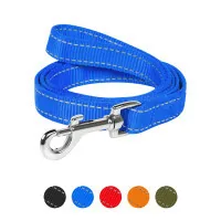 Dog Extreme nylon double leash W 14 mm L 122 cm blue (43002)